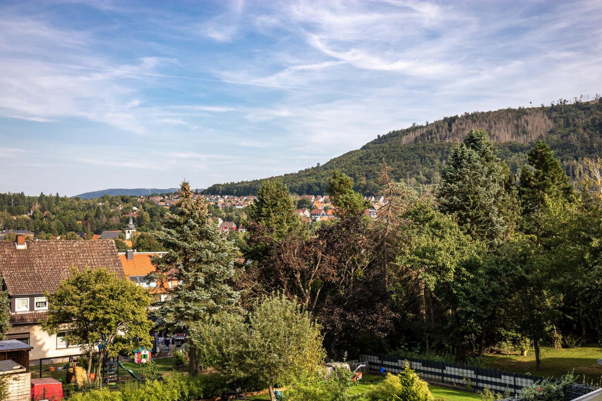 Ferienwohnung Am Bollrich Goslar Ngoại thất bức ảnh
